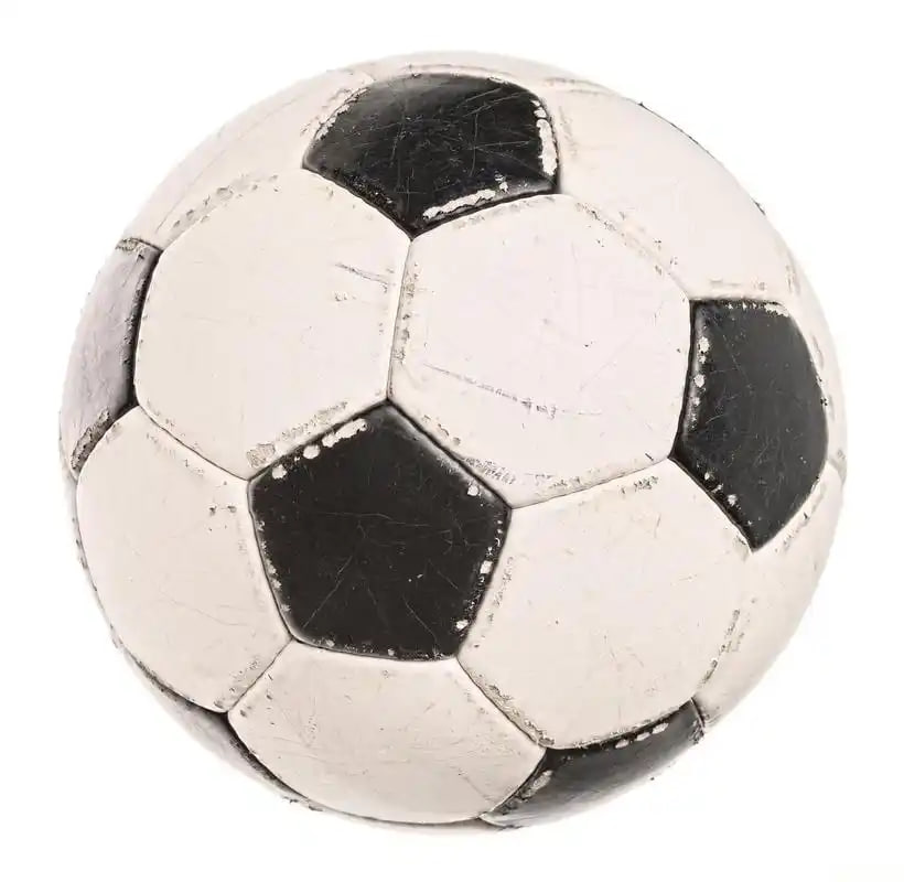 教练员使用数据辅助训练