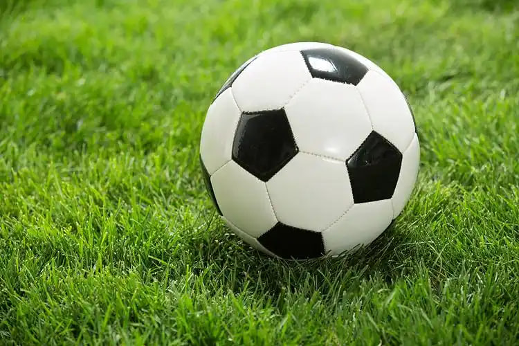 球迷社区交流互动